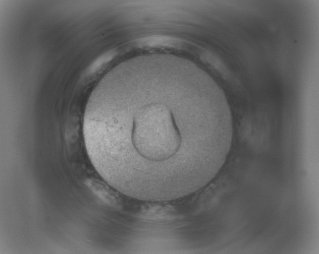 X0000082990824200702011426