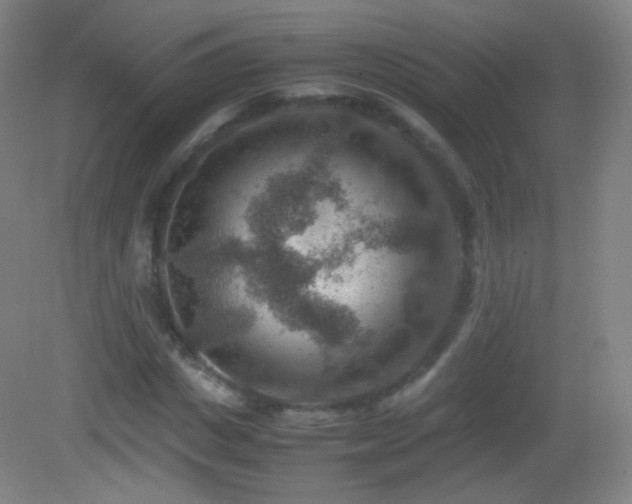 X0000082990825200702011426