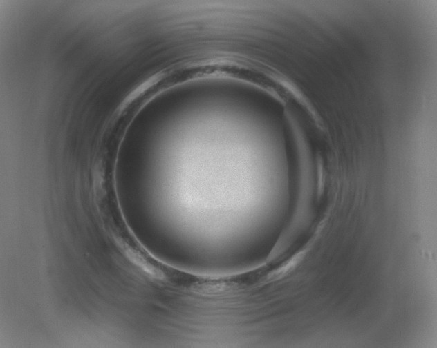 X0000082990826200702011427