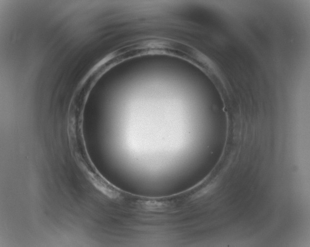 X0000082990827200702011427