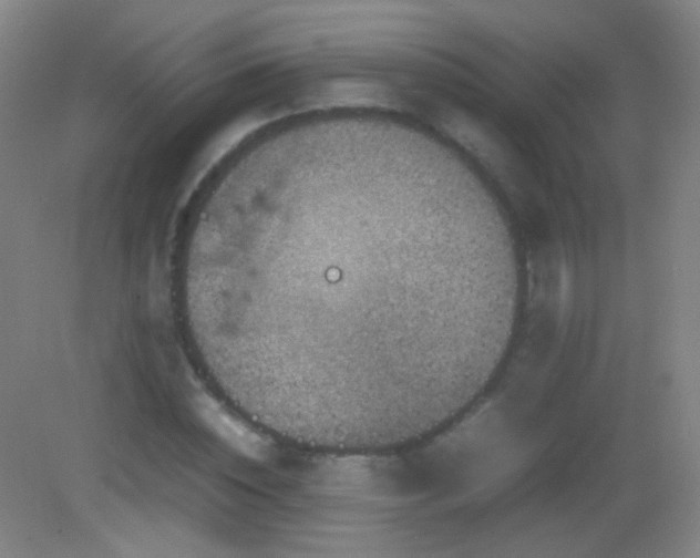 X0000082990828200702011427