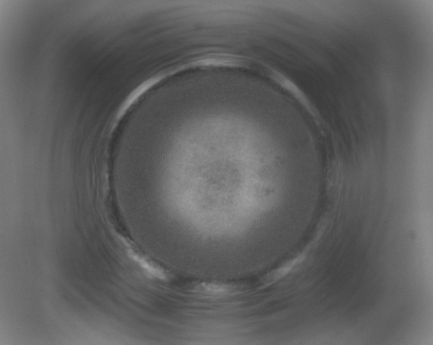 X0000082990829200702011427