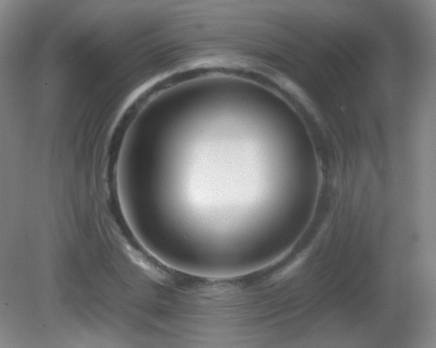 X0000082990830200702011427