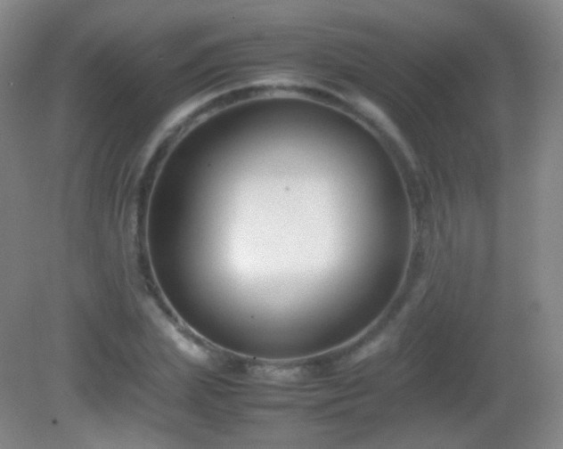 X0000082990831200702011427