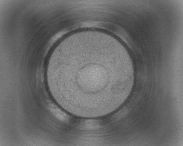 X0000082990832200702011427