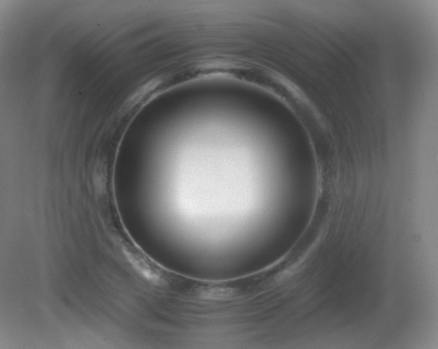 X0000082990833200702011427