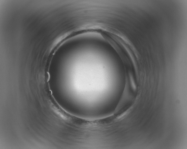 X0000082990834200702011427