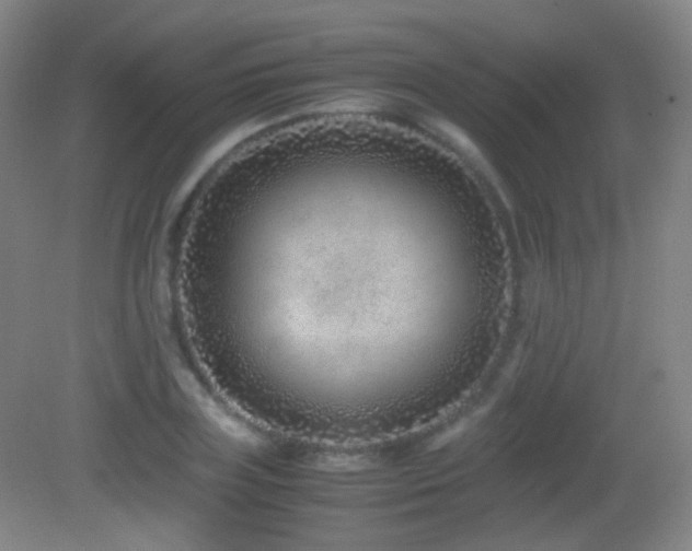 X0000082990835200702011427