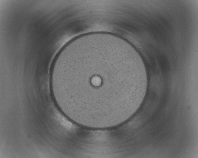 X0000082990836200702011427