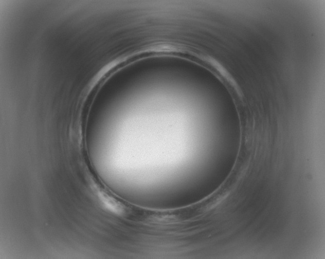 X0000082990837200702011427