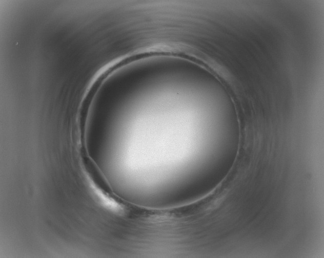 X0000082990838200702011427