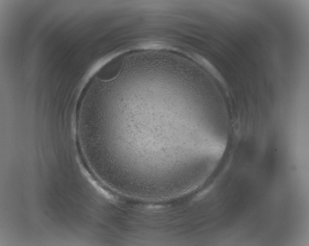 X0000082990839200702011427