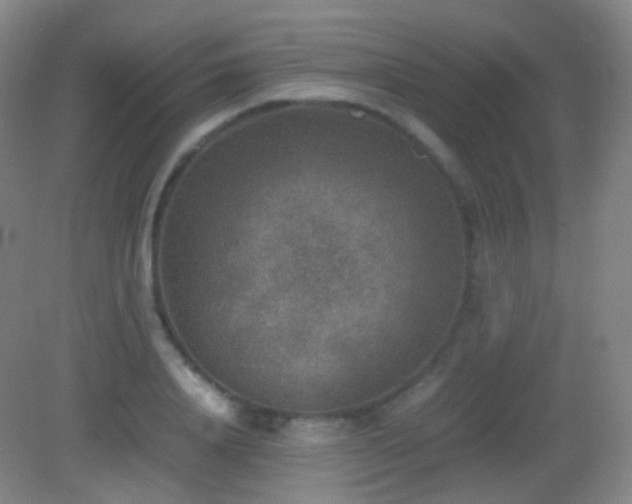 X0000082990840200702011427