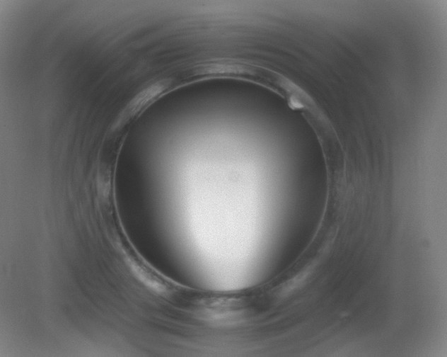 X0000082990841200702011427