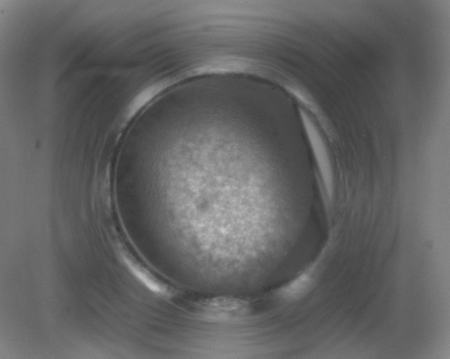 X0000082990842200702011427