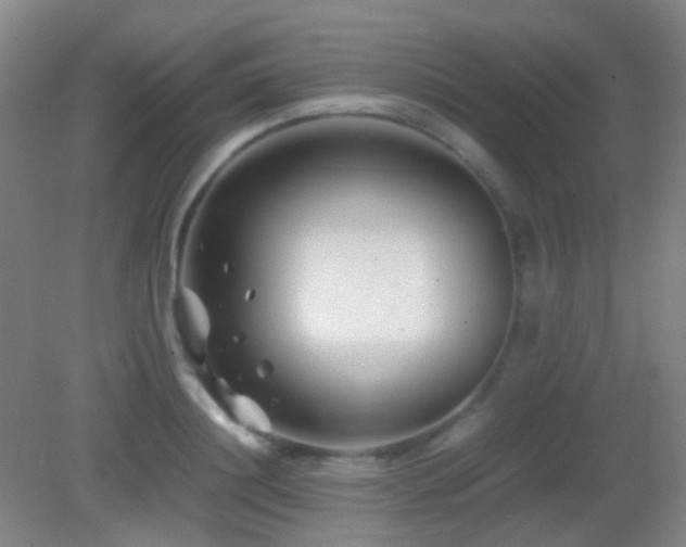 X0000082990844200702011427