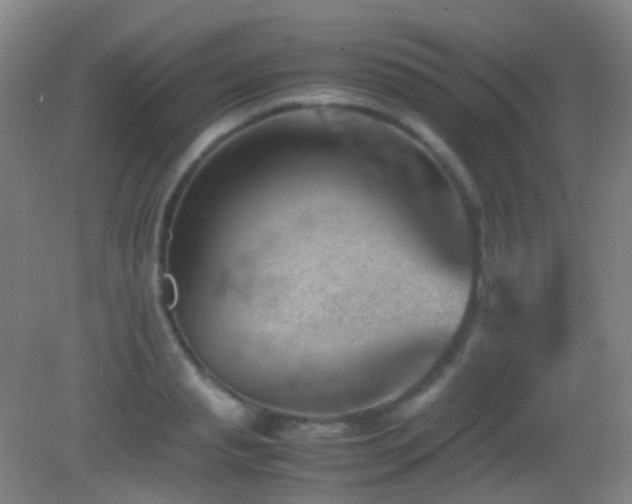 X0000082990845200702011427