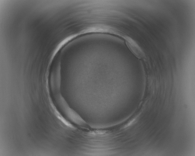 X0000082990846200702011427