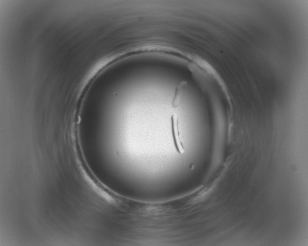 X0000082990847200702011427