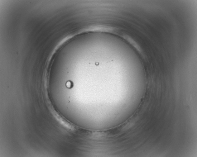 X0000082990848200702011427