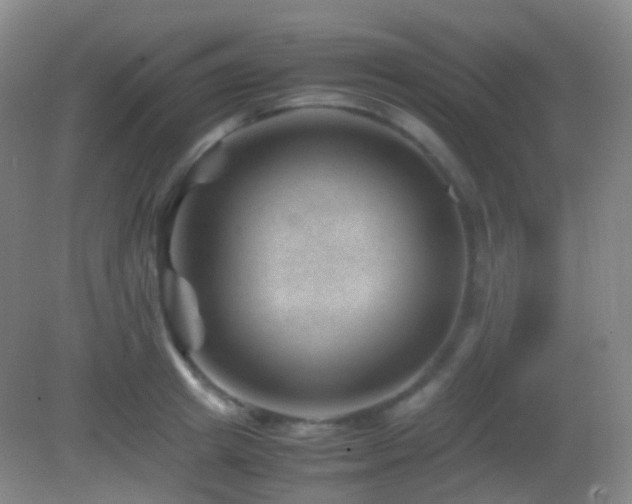 X0000082990849200702011427