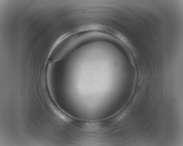 X0000082990850200702011427