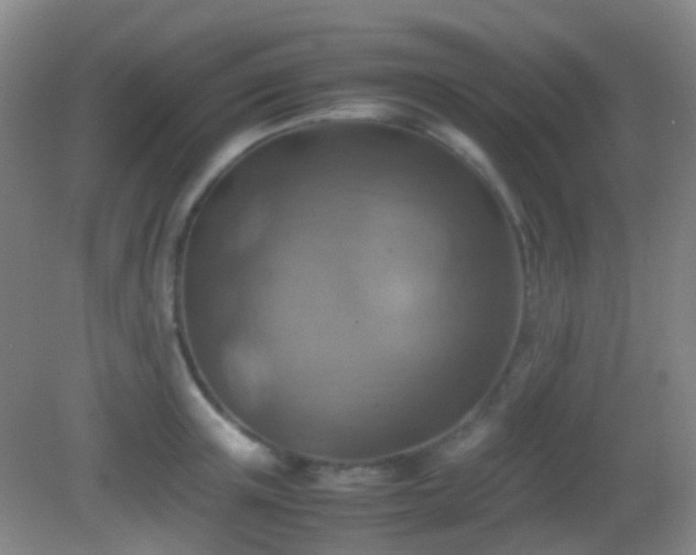 X0000082990851200702011427