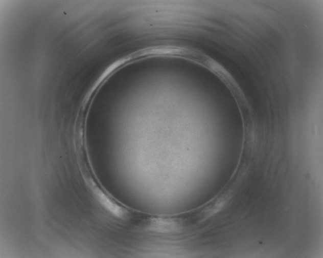 X0000082990852200702011427