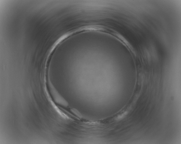 X0000082990853200702011427