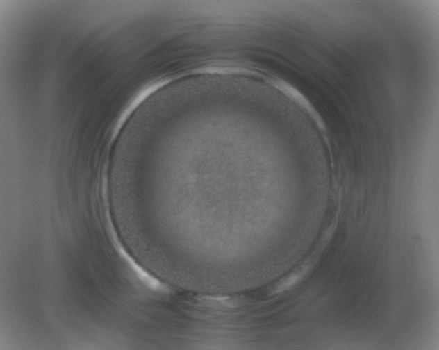 X0000082990855200702011427