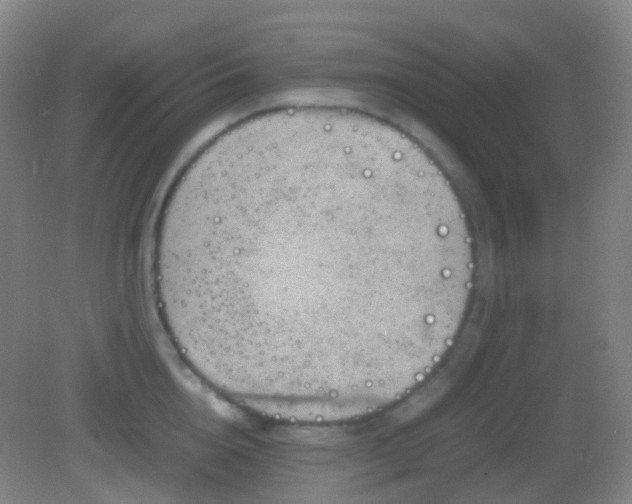 X0000082990856200702011427