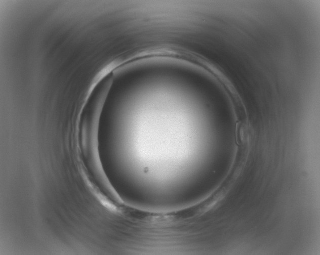 X0000082990858200702011427