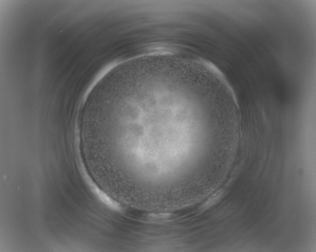 X0000082990859200702011427