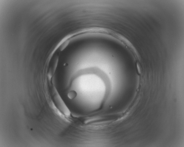 X0000082990860200702011427