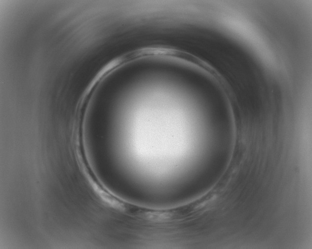 X0000082990861200702011427