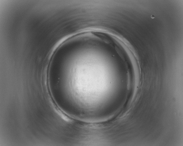 X0000082990862200702011427