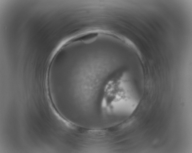 X0000082990863200702011427