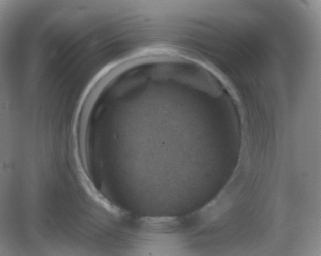 X0000082990864200702011427