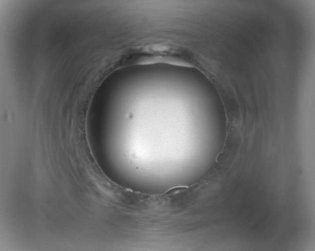 X0000082990865200702011426