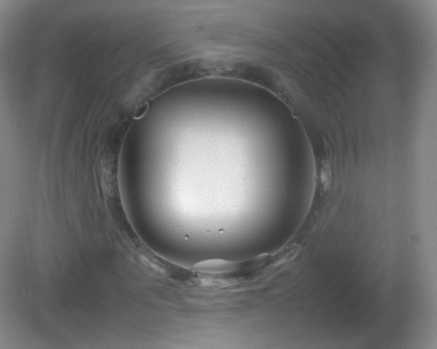 X0000082990867200702011426