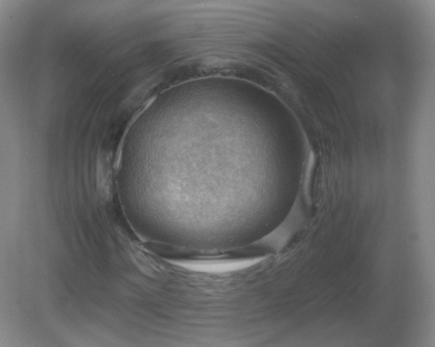 X0000082990868200702011426