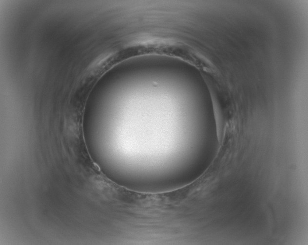 X0000082990869200702011426