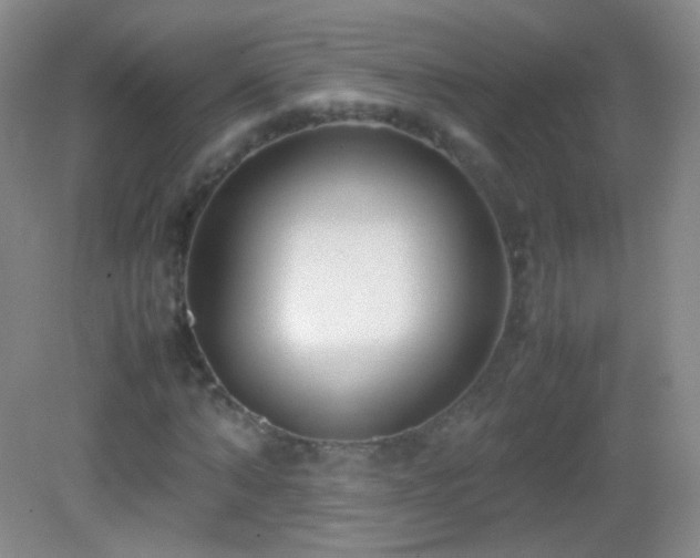 X0000082990870200702011426