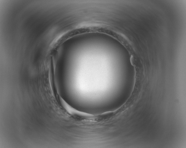 X0000082990871200702011426