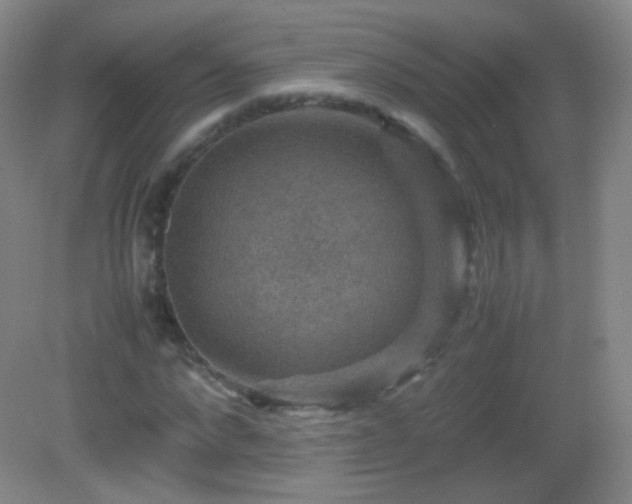 X0000082990872200702011426