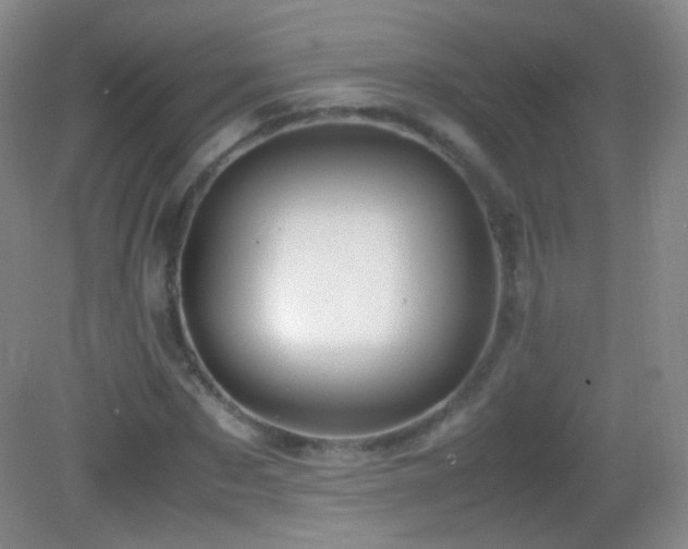 X0000082990873200702011426