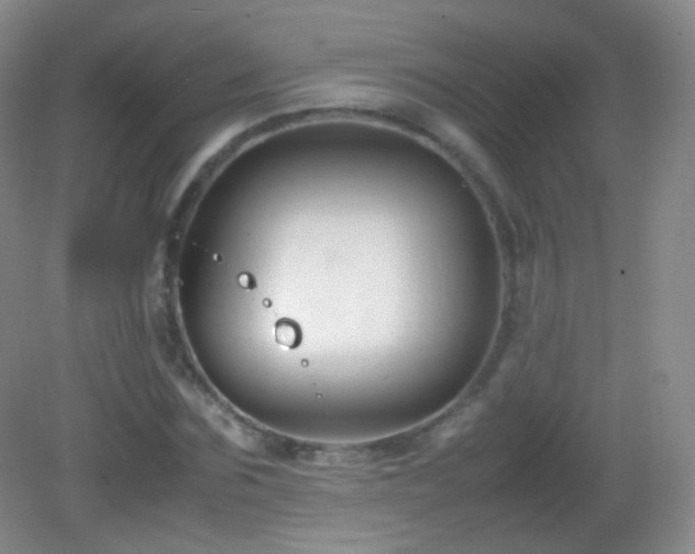 X0000082990875200702011426