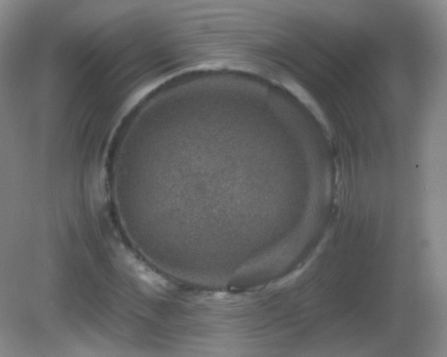 X0000082990876200702011426