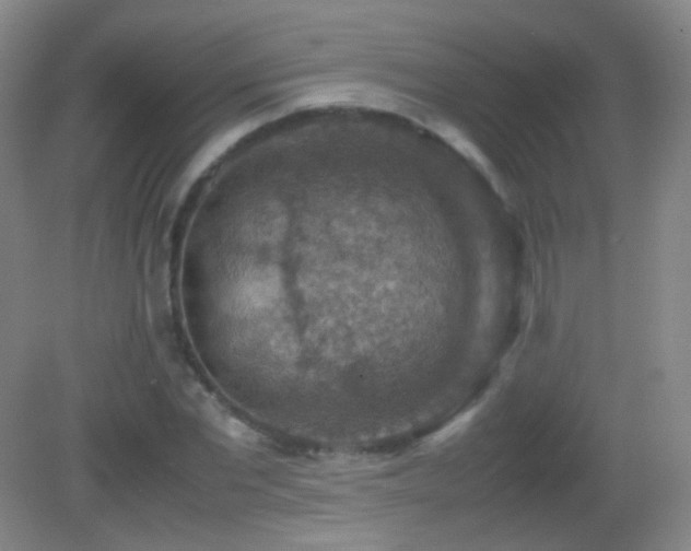 X0000082990877200702011426