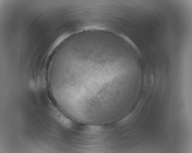 X0000082990878200702011426